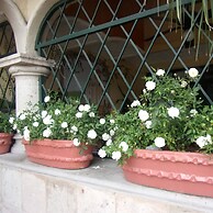 Casita Montana Hotel and Suites