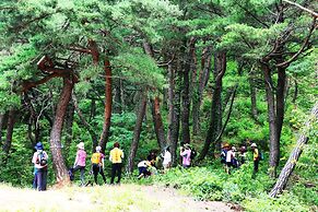 Skybay Hotel Gyeongpo