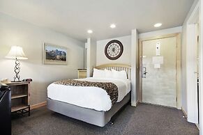 Downtown Studio W/ Sunny Alpine Views- Sleeps 4! Studio Bedroom Condo 