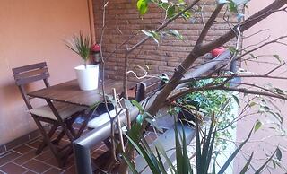 ZEN Groundfloor with terrace