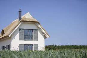 Reetland am Meer