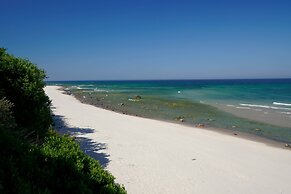 Reetland am Meer