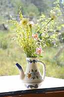 Country cozy house with pool Mallorca