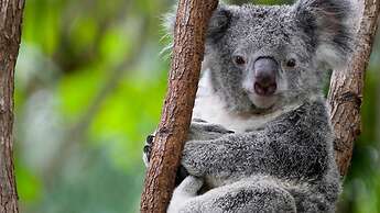 Holiday Inn Sydney St Marys by IHG