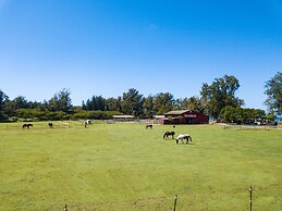 Oceanfront Vacation Villas at Turtle Bay