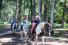 Oceanfront Vacation Villas at Turtle Bay