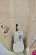 Shiny Saint Petersburg