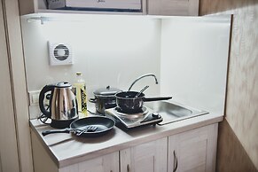 Shiny Saint Petersburg