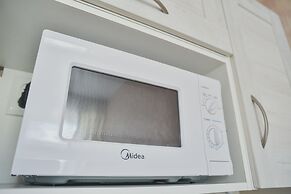 Shiny Saint Petersburg