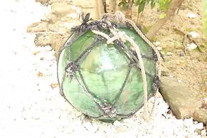 Okinawa Minshuku Kariyushi Honkan