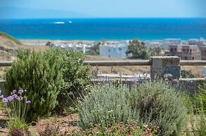 Naxos Luxury Villas