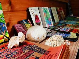 Private Lodge COTENCHI