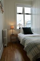 The Old Bicycle Shop