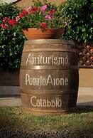 Bio Agriturismo Poggio Aione