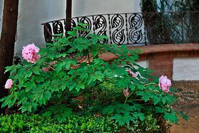 Hotel Museo Patria Chica