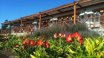 Hacienda Santa Cristina