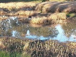 Alpine Stag Lodge House