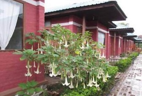 Pyi1 Guest House