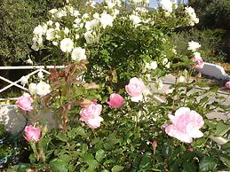 Armonia Apartments & Studios