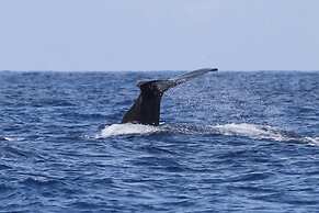 Brygga Restaurant & Room