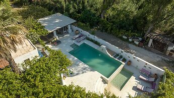 The Olive Yard House