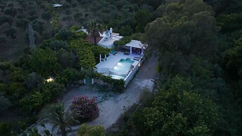 The Olive Yard House