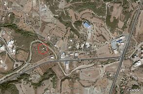 The Olive Yard House