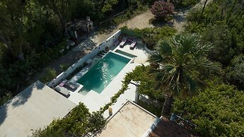 The Olive Yard House