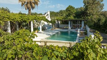 The Olive Yard House