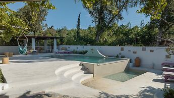 The Olive Yard House