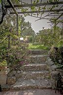 The Olive Yard House