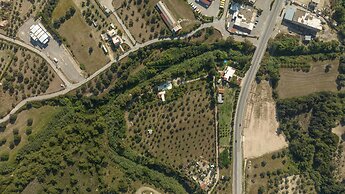 The Olive Yard House