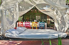 The Olive Yard House