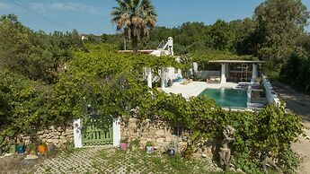 The Olive Yard House