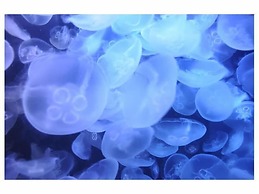 Hotel Tetora Resort Tsuruoka