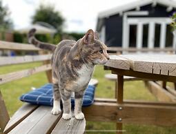 Piccobello Bed & Breakfast