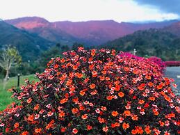 Cabañas La Herradura
