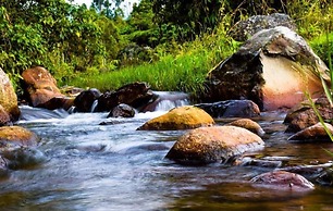 Cabañas La Herradura
