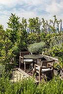 Brach Paris - Evok Collection