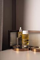 Brach Paris - Evok Collection