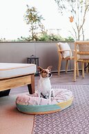 Brach Paris - Evok Collection