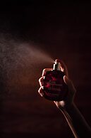 Brach Paris - Evok Collection