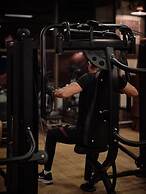 Brach Paris - Evok Collection