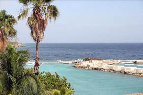 Ocean Resort Apartment Warawara