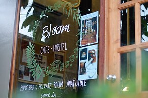 Bloom Cafe & Hostel Lipe