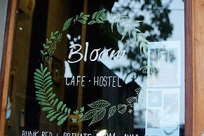 Bloom Cafe & Hostel Lipe