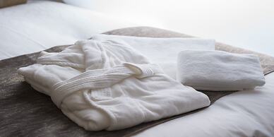 Hotel ALZA KYOTO