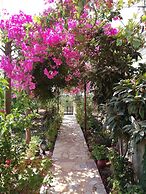 Villa Koknar Pension