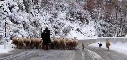 Birgi Hotel Saliha Hanim Tas Konak