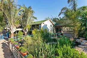 Out of Africa Sea of Galilee Resort